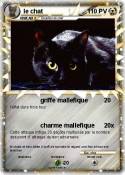 le chat
