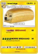 bread doge