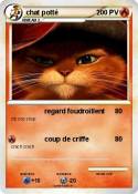 chat potté