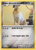 dogue allemand