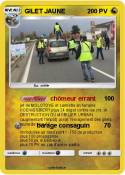 GILET JAUNE