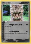 chat secret chat secret