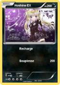 Hoshina EX