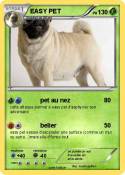 EASY PET