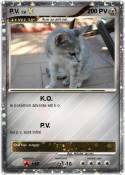 P.V.