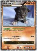 bébé chat