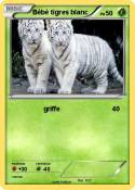 Bébé tigres