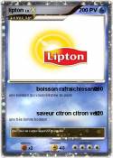 lipton lipton