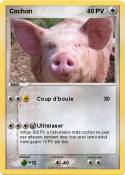 Cochon Cochon