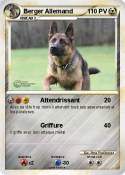 Berger Allemand