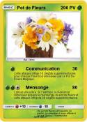 Pot de Fleurs