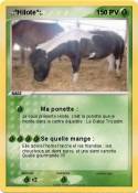 .:°Hilote°:.