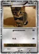 miaou