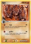 tigre