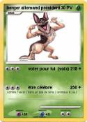 berger allemand