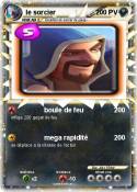 le sorcier