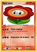 Fleur soleil