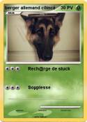 berger allemand
