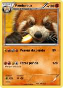 Panda roux Panda roux