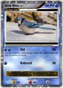 Geai Bleu