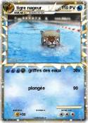 tigre nageur