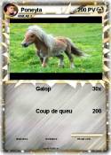 Poneyta Poneyta