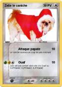 Zelie le caniche Zelie le