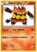 EMBOR EEXX