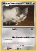 Minette-Chatte-Cat
