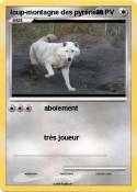 loup-montagne