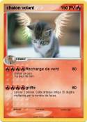 chaton volant chaton volant