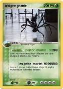 araigne geante