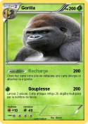 Gorilla