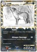 Loup