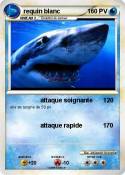 requin blanc