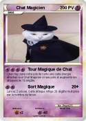 Chat Magicien