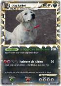 dog junior