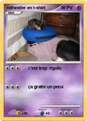 rottweiler en