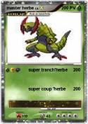 master herbe