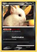 lapin