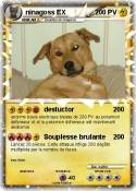 ninagoss EX