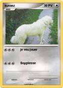 kuvasz