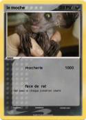 le moche