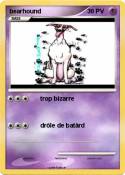 bearhound bearhound