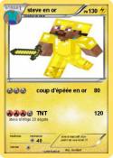 steve en or