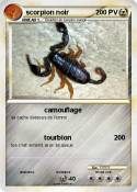 scorpion noir