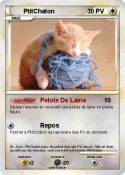 PtitChaton