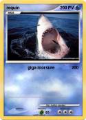 requin requin