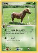 poney 