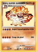 GOKU SUPER GUERRIER GOKU SUPER